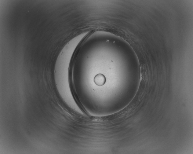 X0000073990562200608211351