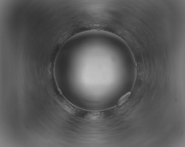 X0000073990563200608211351