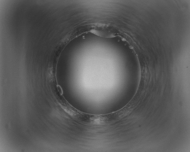 X0000073990564200608211351