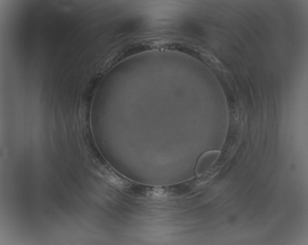 X0000073990565200608211351