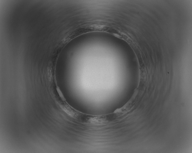 X0000073990568200608211351