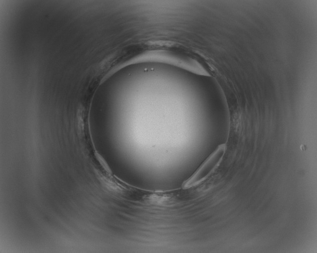 X0000073990570200608211351