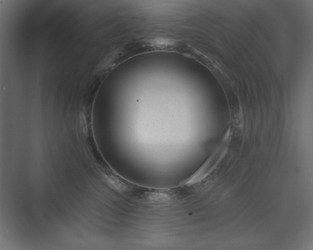 X0000073990572200608211351