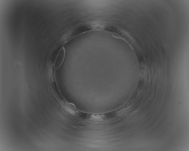 X0000073990573200608211351