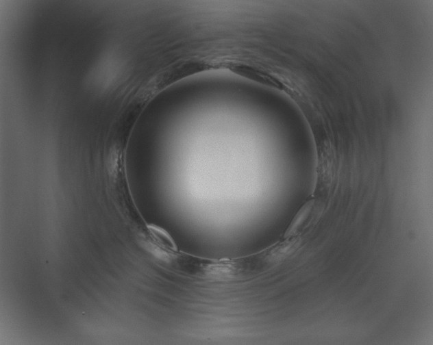 X0000073990574200608211351