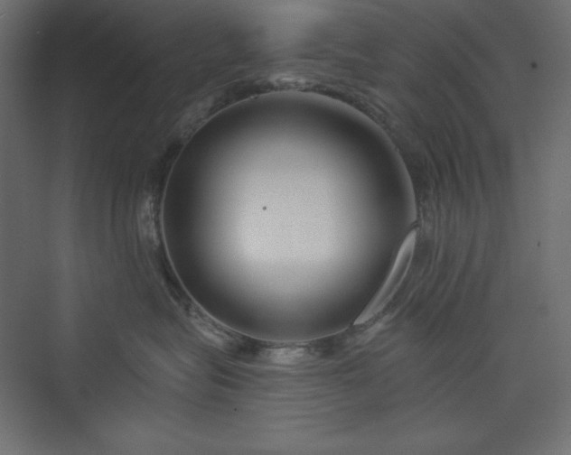 X0000073990575200608211351