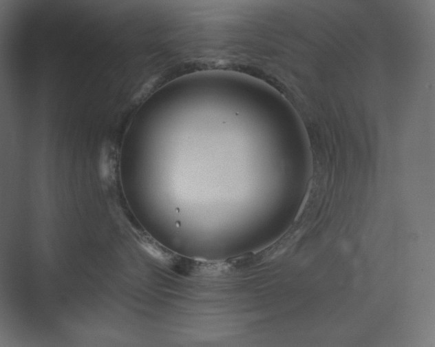 X0000073990576200608211351