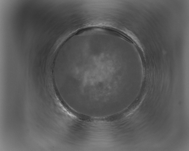 X0000073990577200608211350