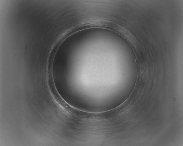 X0000073990578200608211350