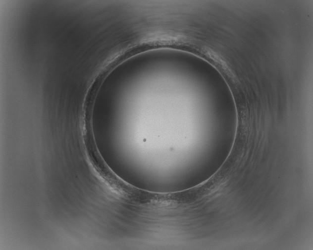 X0000073990582200608211350