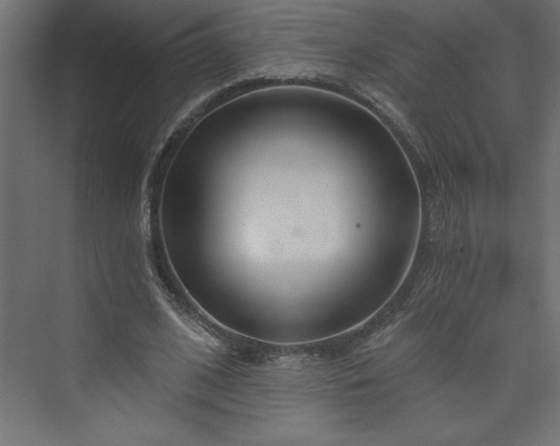 X0000073990584200608211350