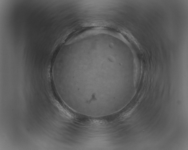 X0000073990585200608211350