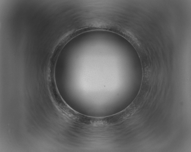 X0000073990587200608211350