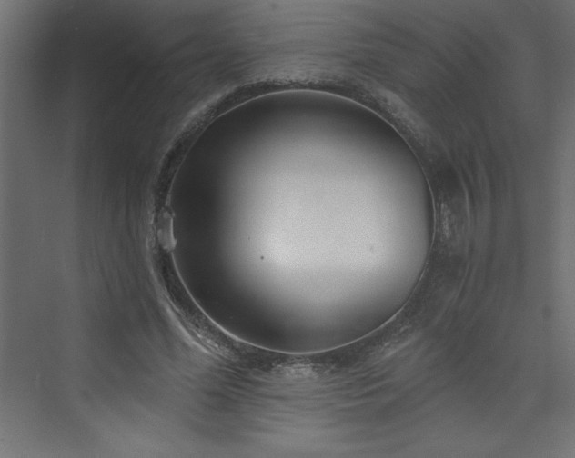 X0000073990588200608211350