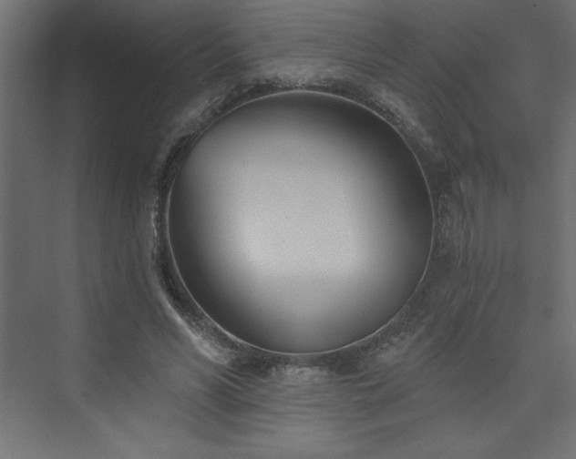 X0000073990590200608211350