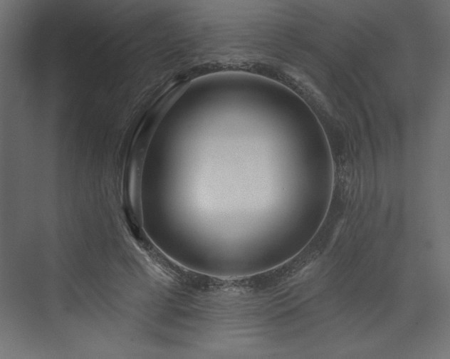 X0000073990593200608211350