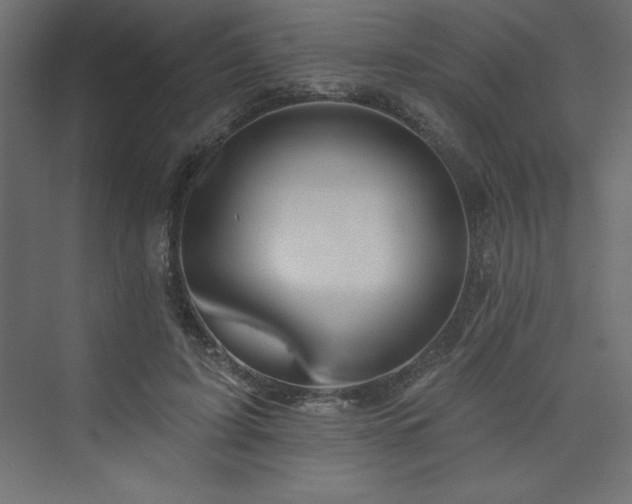 X0000073990595200608211350