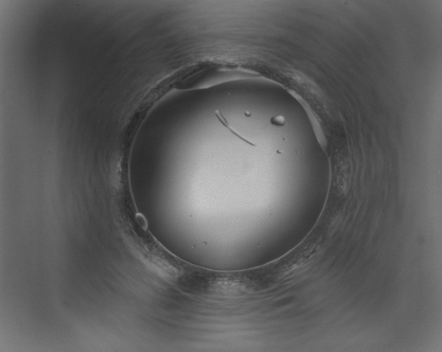 X0000073990596200608211350