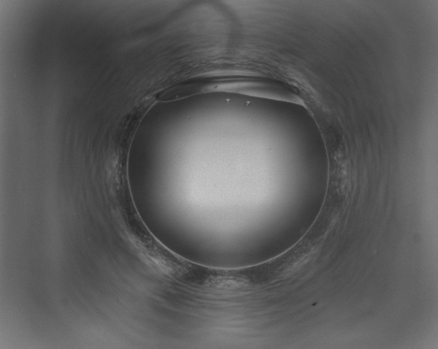 X0000073990597200608211350