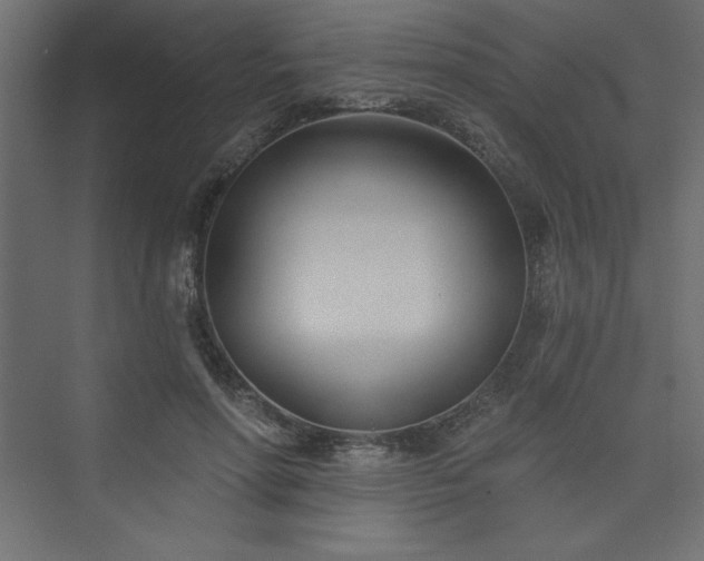 X0000073990598200608211350