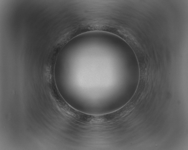 X0000073990599200608211350