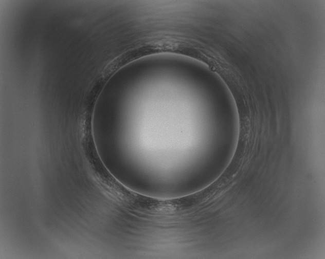 X0000073990600200608211350