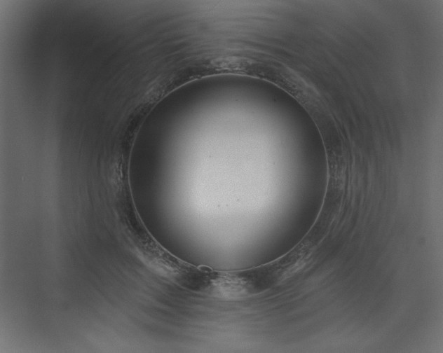 X0000073990603200608211350