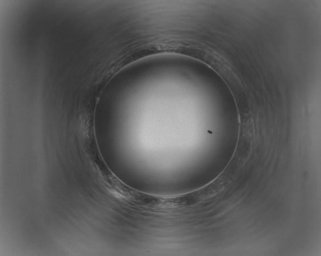 X0000073990604200608211350