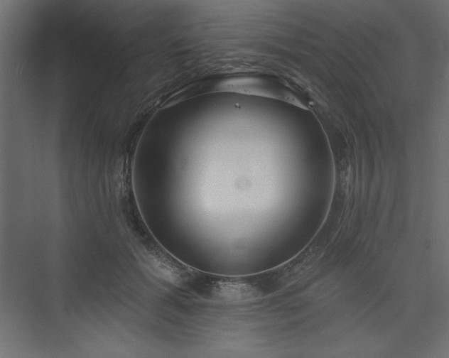 X0000073990605200608211350