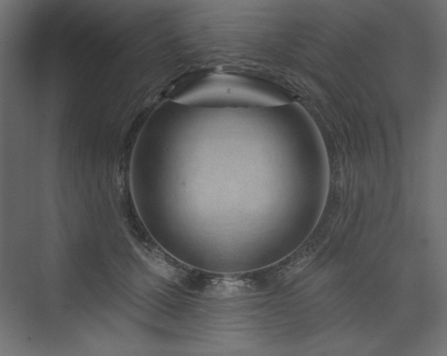 X0000073990607200608211350