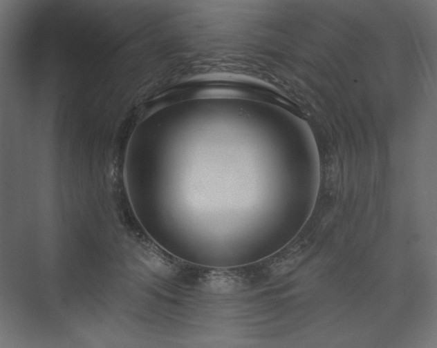 X0000073990608200608211350