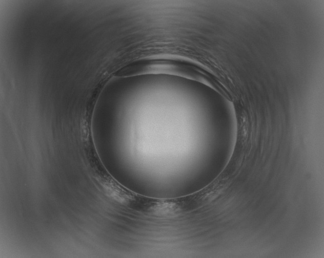 X0000073990609200608211350