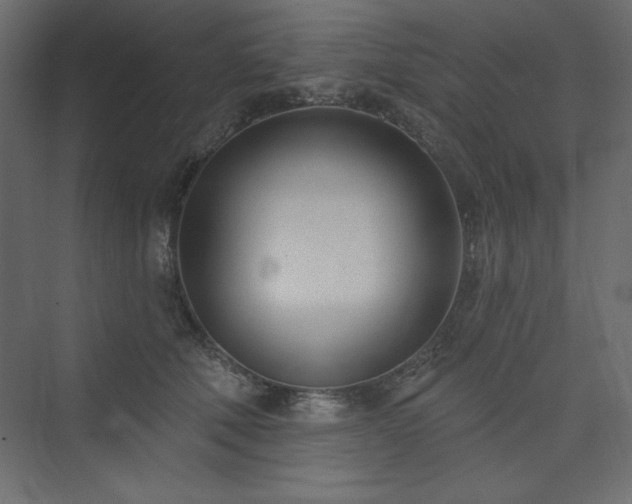 X0000073990610200608211350