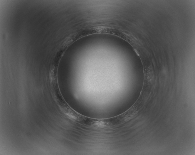 X0000073990611200608211350