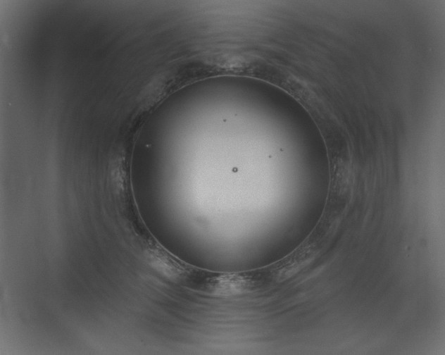 X0000073990612200608211350