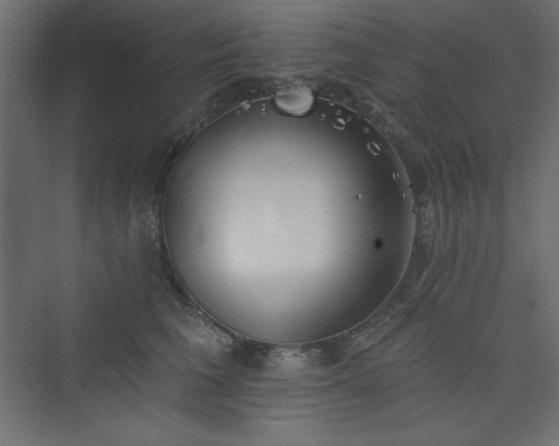 X0000073990613200608211350