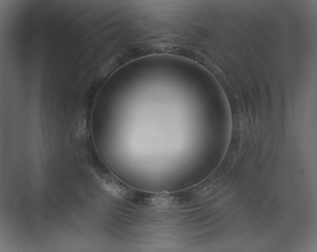 X0000073990615200608211350