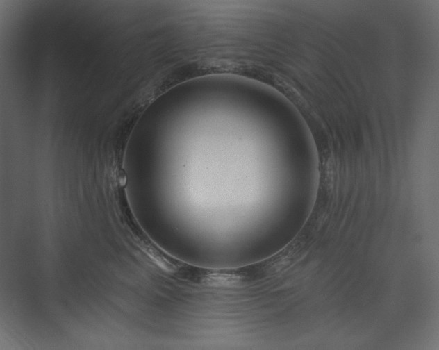 X0000073990617200608211349