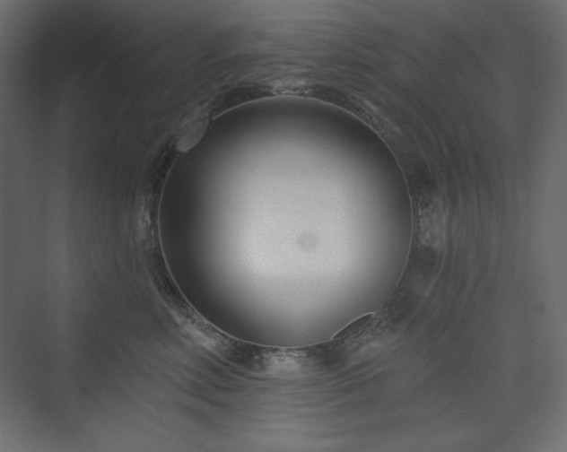 X0000073990618200608211349