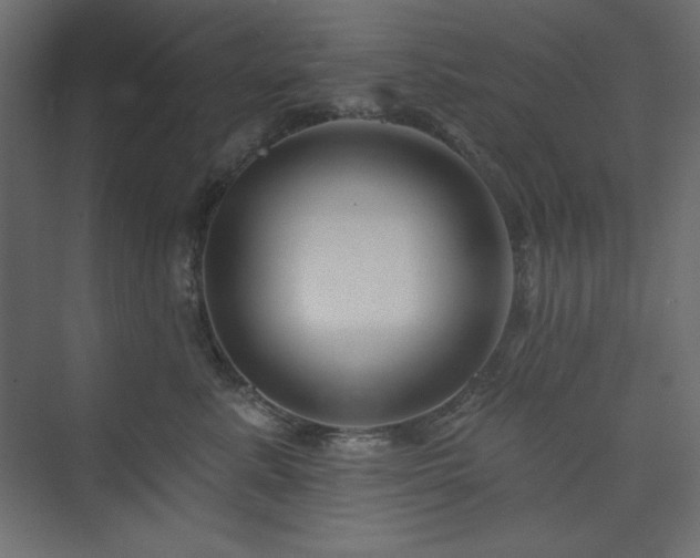 X0000073990619200608211349