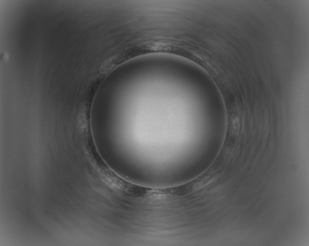 X0000073990620200608211349