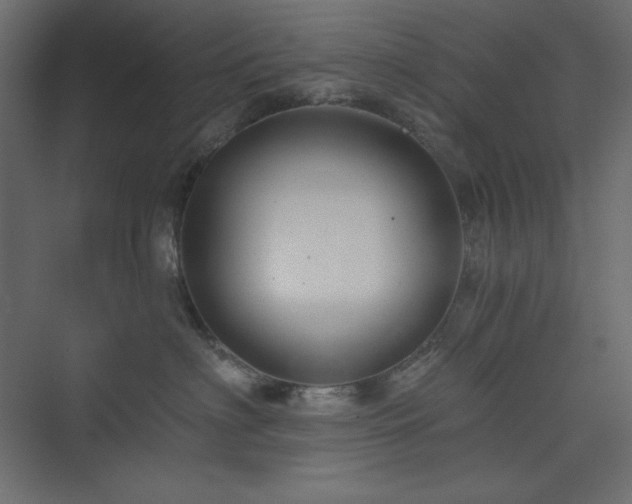 X0000073990622200608211349