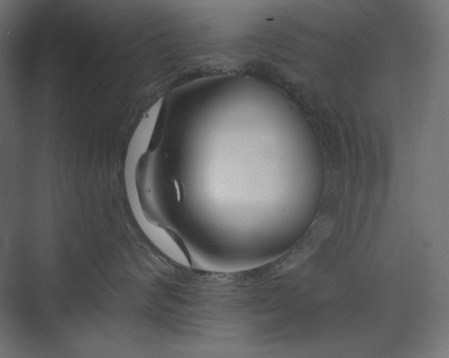 X0000073990624200608211349