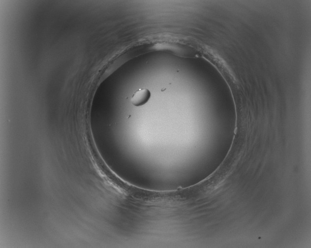 X0000073990625200608211349