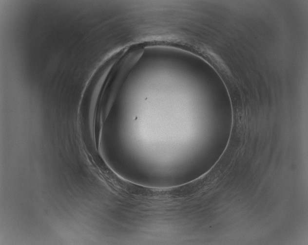 X0000073990628200608211349