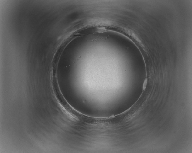 X0000073990629200608211349