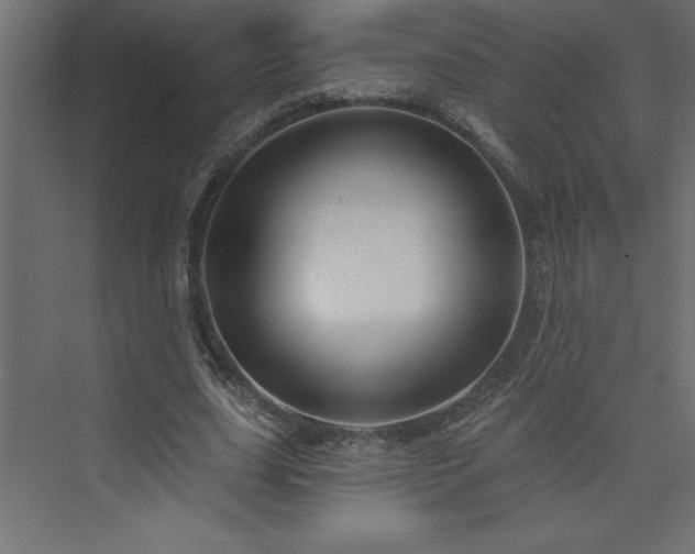 X0000073990631200608211349