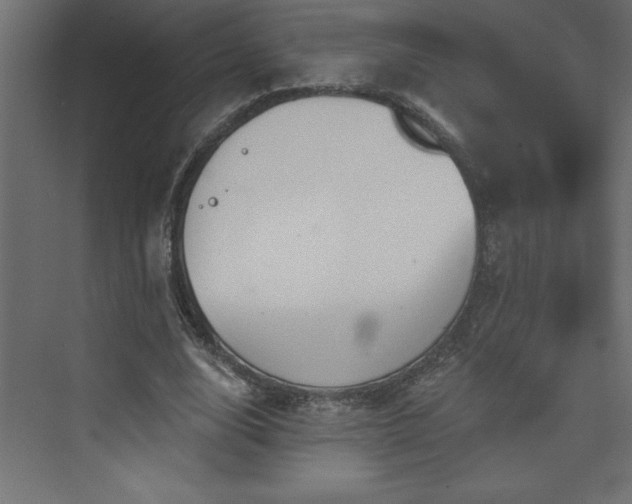 X0000073990632200608211349