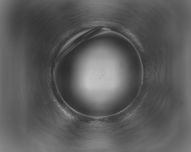 X0000073990633200608211349