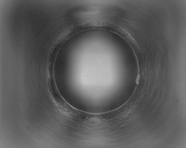 X0000073990635200608211349